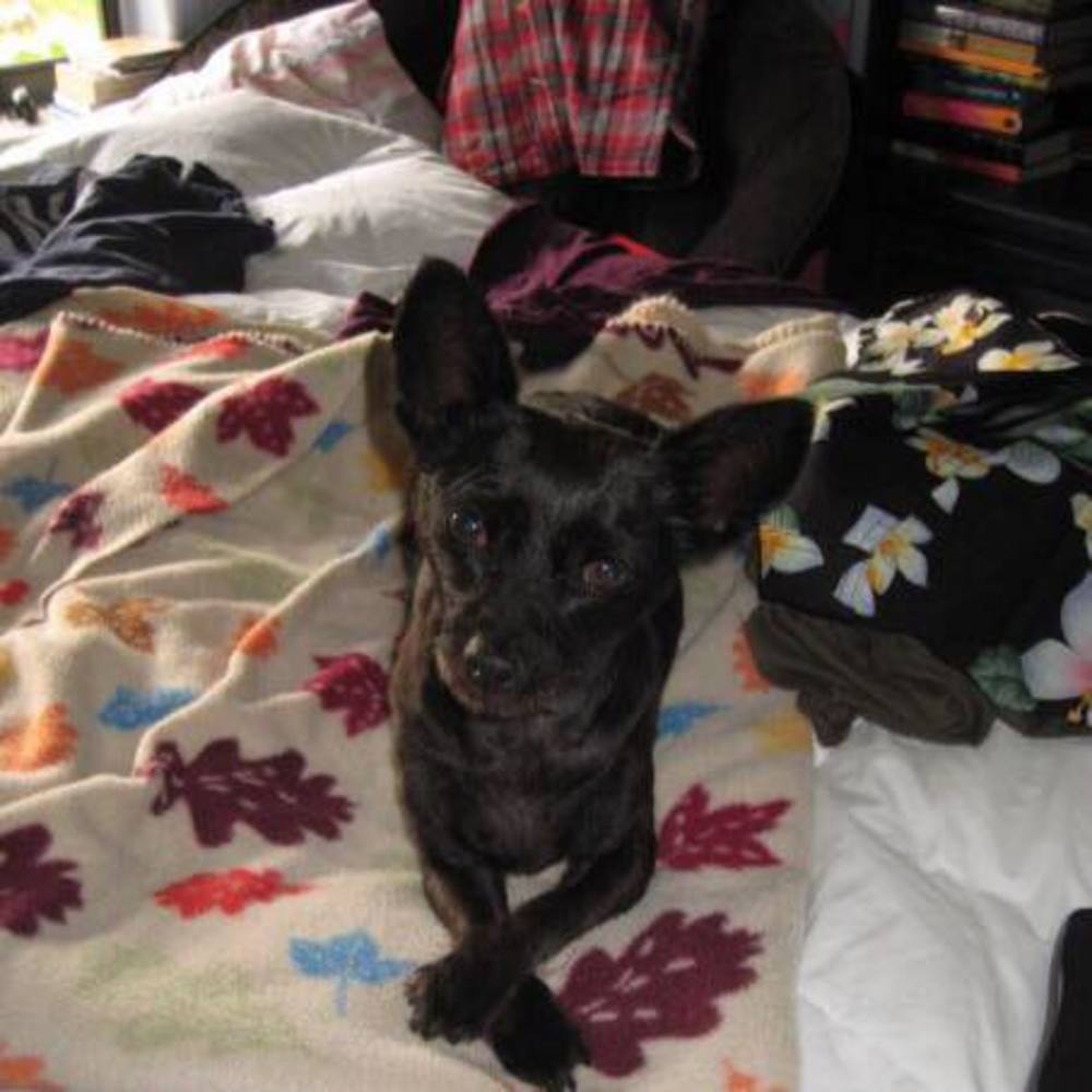 Meet your Posher, Ashley